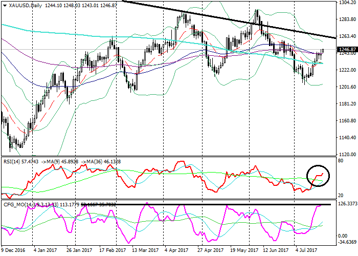 Strategy trading forex no loss